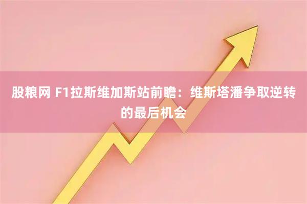 股糧網 F1拉斯維加斯站前瞻：維斯塔潘爭取逆轉的最后機會